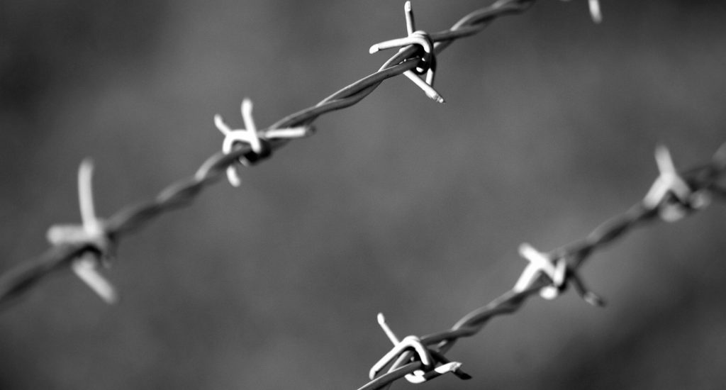 pexels-danielabbatt-583347 pexels-danielabbatt-583347